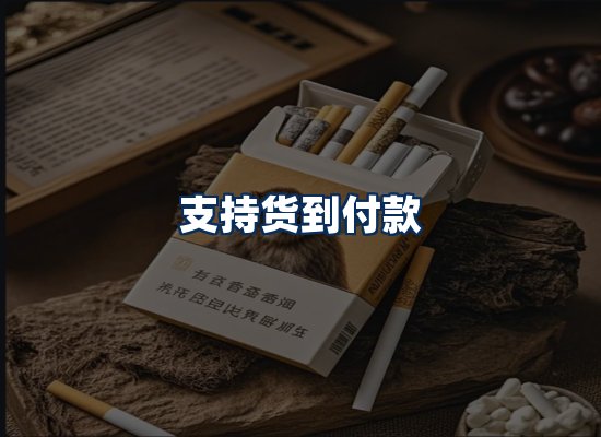 专业团队办公环境